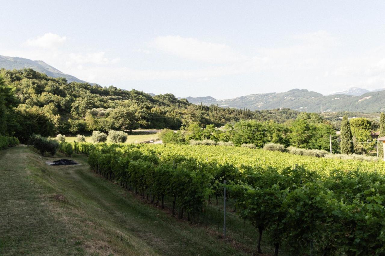 Agriturismo Ca' Cristane Rivoli Veronese Exterior photo