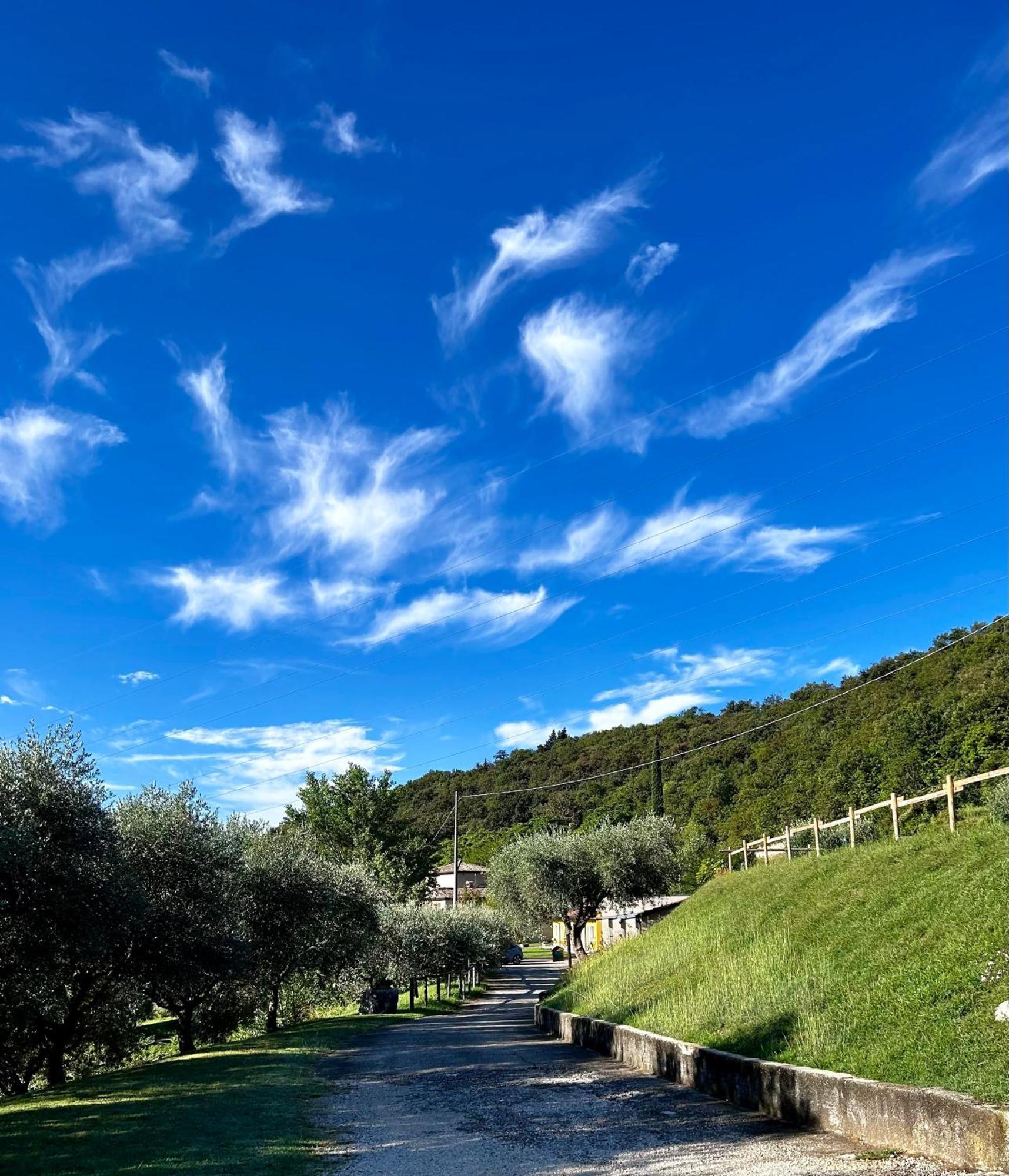 Agriturismo Ca' Cristane Rivoli Veronese Exterior photo