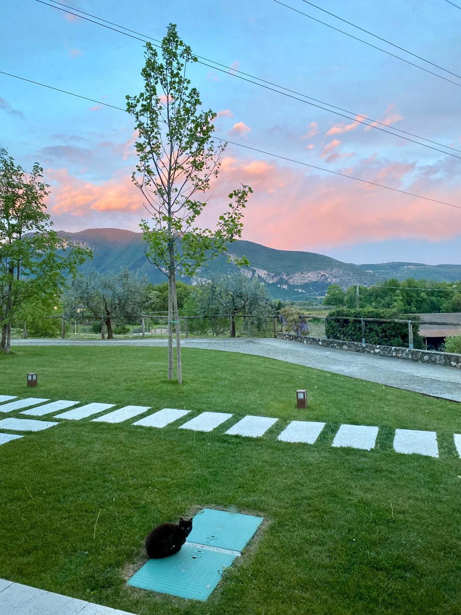 Agriturismo Ca' Cristane Rivoli Veronese Exterior photo